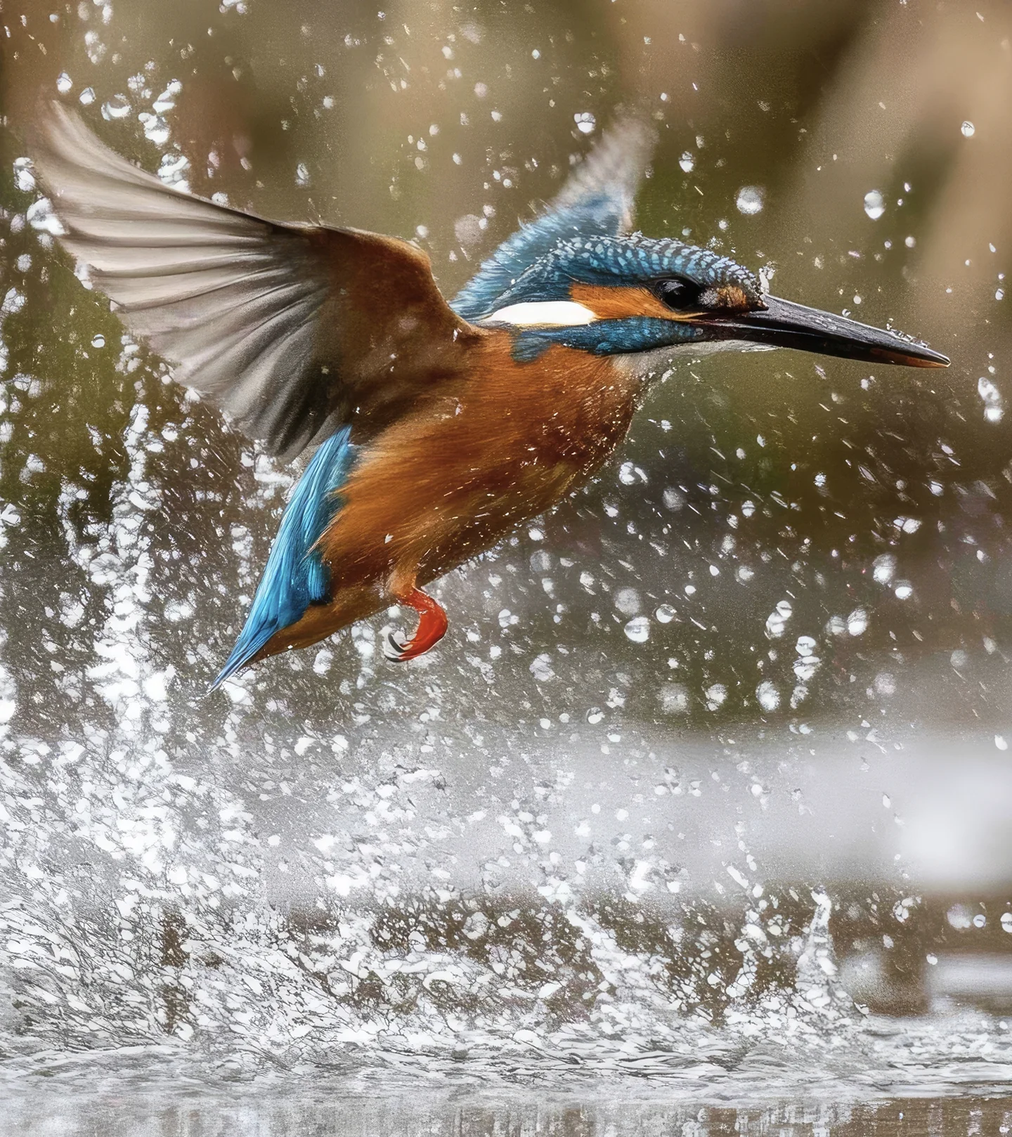 Capture brilliant color and achieve opacity