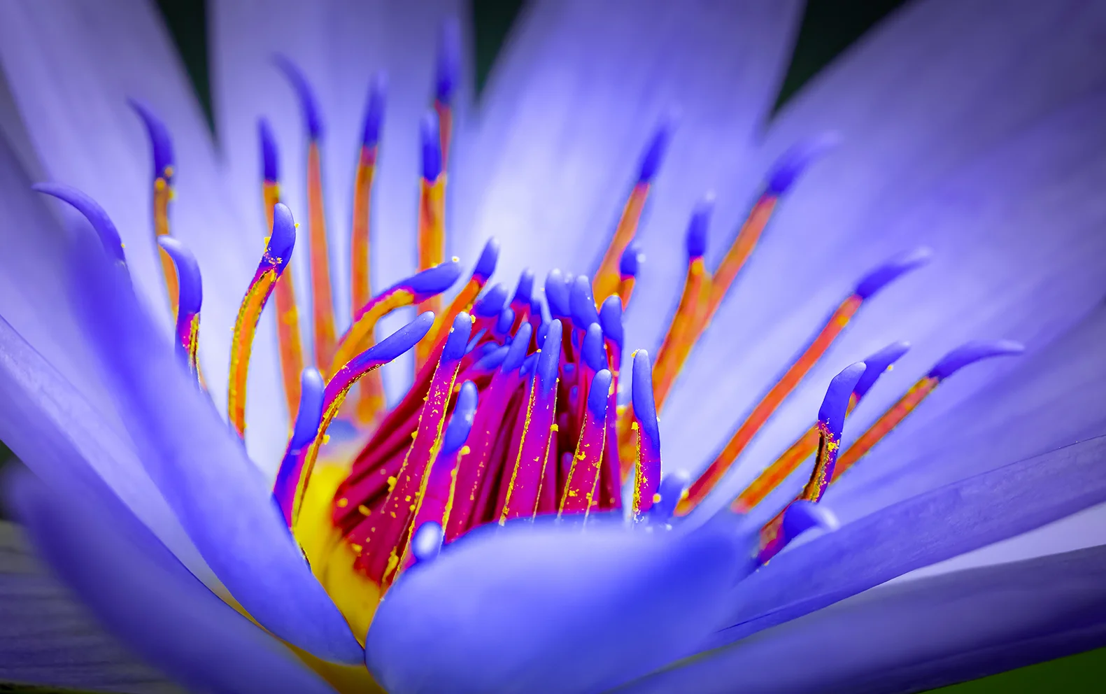 Precision inkjet printheads producing high-resolution 1,200 dpi images with a wide color gamut that exceeds standard offset printing quality.